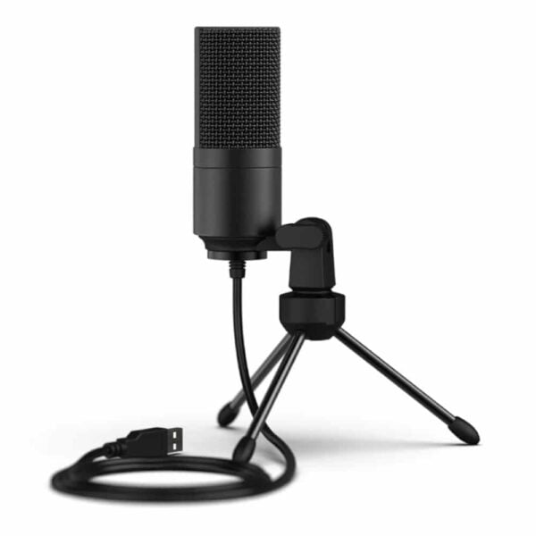 K669B Microphone